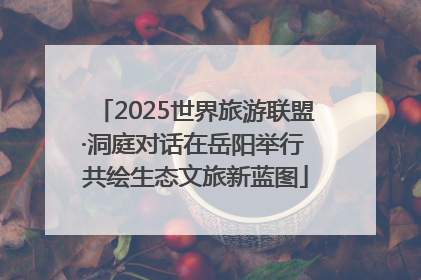 2025世界旅游联盟·洞庭对话在岳阳举行 共绘生态文旅新蓝图