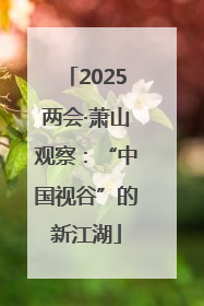 2025两会·萧山观察：“中国视谷”的新江湖