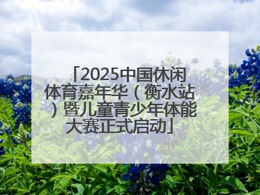 2025中国休闲体育嘉年华（衡水站）暨儿童青少年体能大赛正式启动