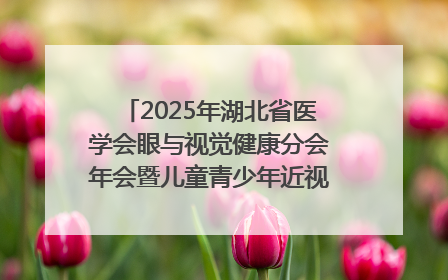 2025年湖北省医学会眼与视觉健康分会年会暨儿童青少年近视防控研讨会在荆召开