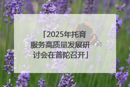 2025年托育服务高质量发展研讨会在普陀召开