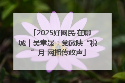 2025好网民·在聊城｜吴聿晟：党徽映“税”月 网播传政声