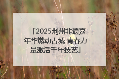 2025荆州非遗嘉年华燃动古城 青春力量激活千年技艺