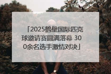 2025鹤壁国际匹克球邀请赛圆满落幕 300余名选手激情对决