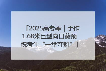 2025高考季｜手作1.68米巨型向日葵预祝考生“一举夺魁”