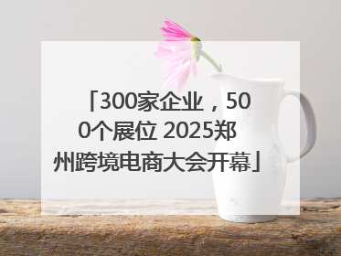 300家企业，500个展位 2025郑州跨境电商大会开幕