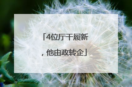 4位厅干履新，他由政转企