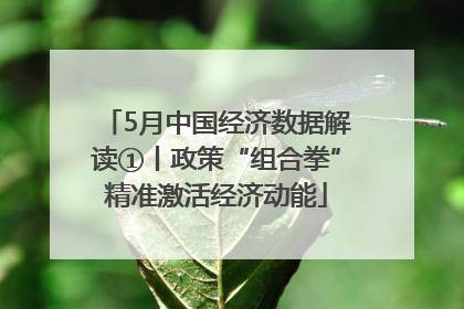 5月中国经济数据解读①丨政策“组合拳”精准激活经济动能