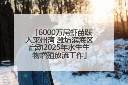 6000万尾虾苗跃入莱州湾 潍坊滨海区启动2025年水生生物增殖放流工作