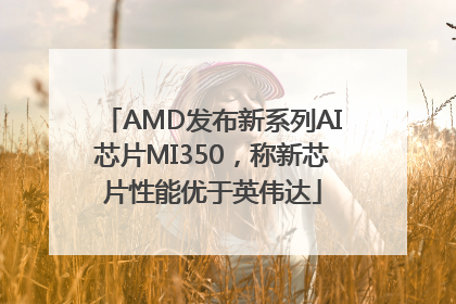 AMD发布新系列AI芯片MI350，称新芯片性能优于英伟达
