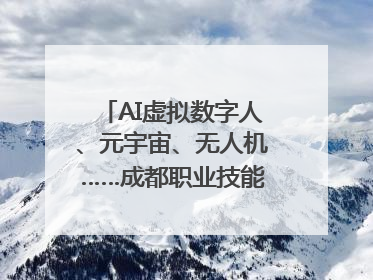 AI虚拟数字人、元宇宙、无人机……成都职业技能大赛启动